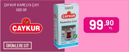 gelsineve.com